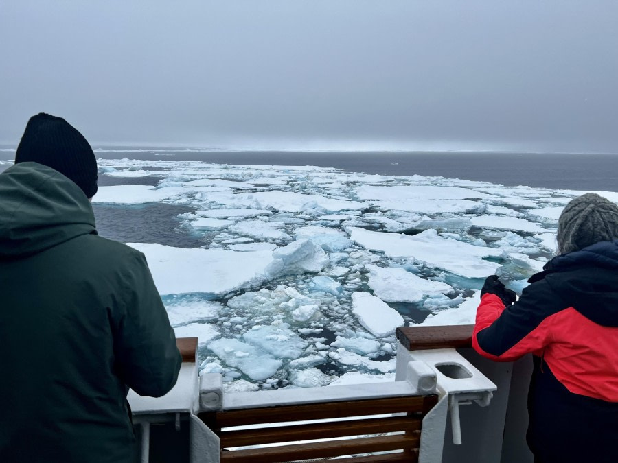 Brown Bluff, Antarctic Sound