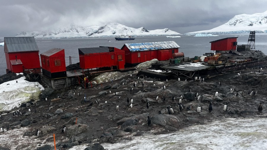 Patagonia Bay & Brown Station