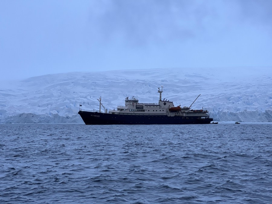 Buls Bay, Brabant Island