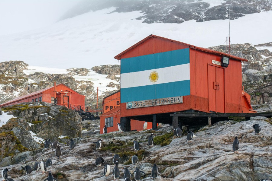 Mikkelsen Harbour and Cierva Cove