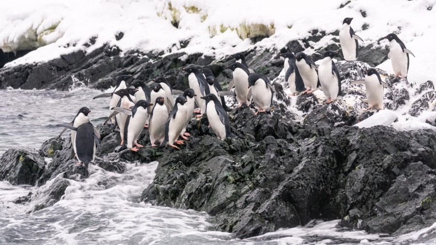 Detaille Island and Crystal Sound