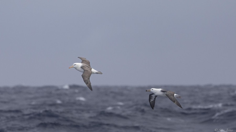 The Drake Passage