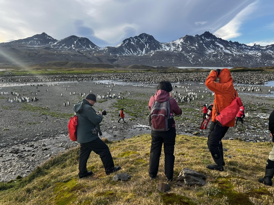 Fortuna Bay and Grytviken