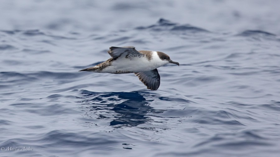 At sea towards St Helena