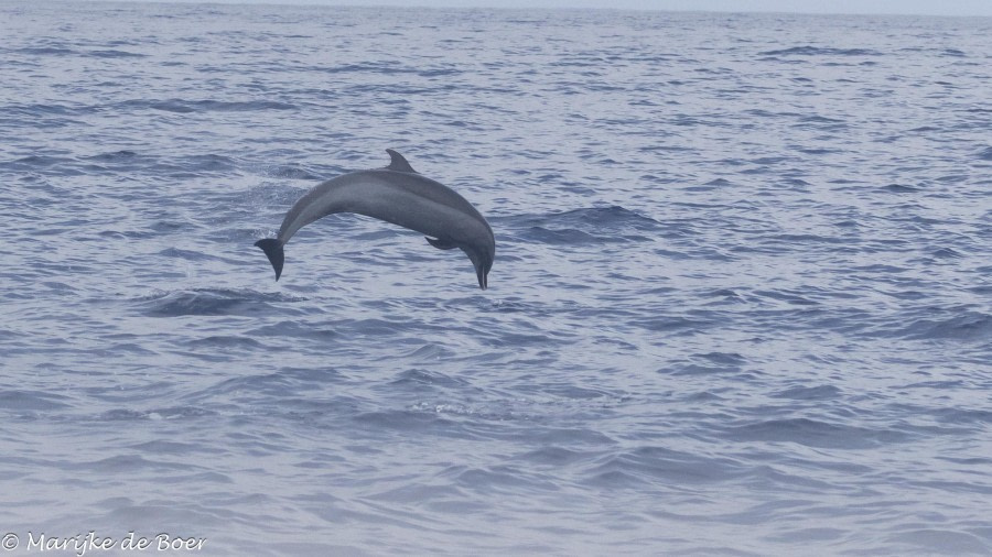 St Helena, Disembarkation day