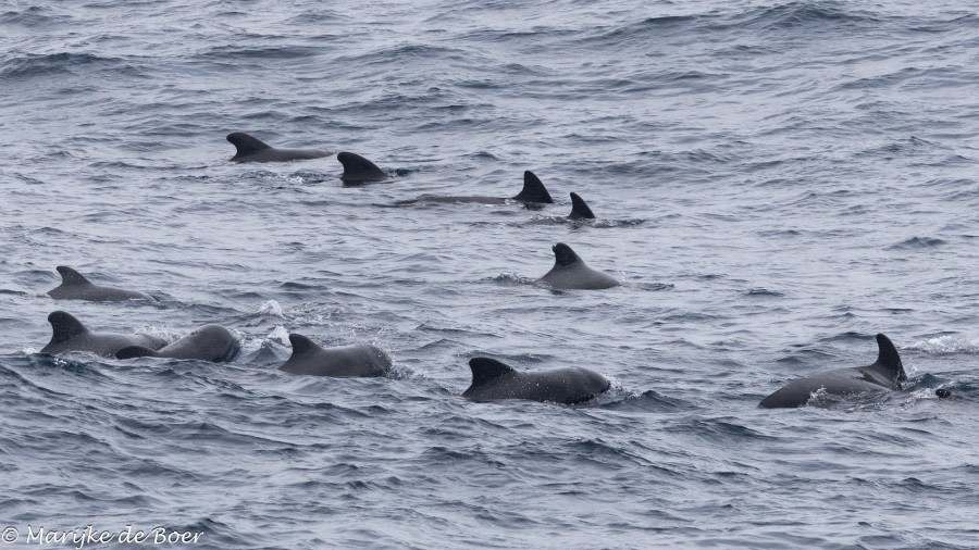 At sea towards Cape Verde