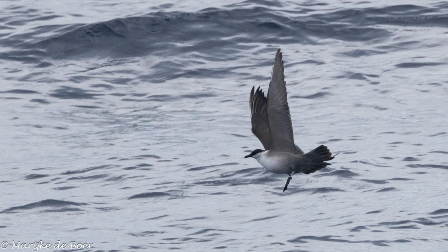 At sea towards Cape Verde