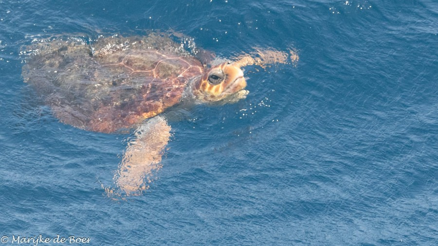 At sea towards Cape Verde