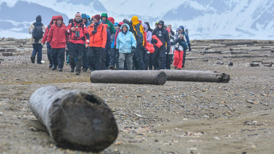 Poolepynten and Alkhornet