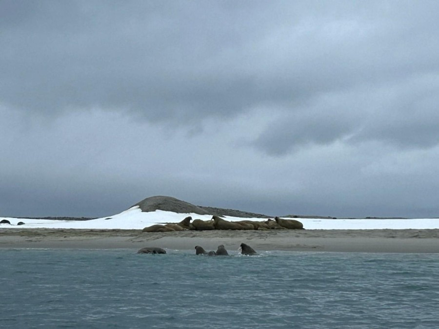 Magdalenefjorden and Gravnesodden