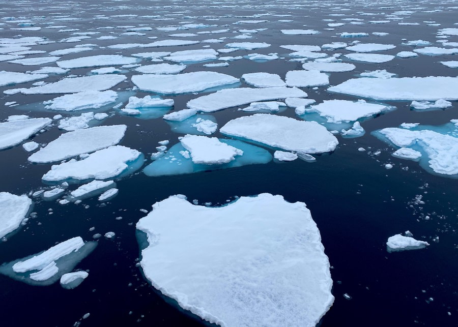 In the Pack Ice of Northwestern Svalbard