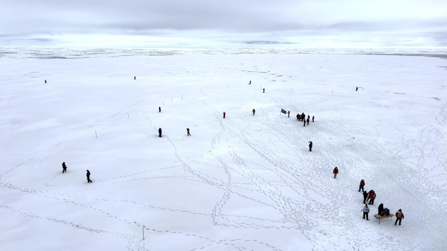 A day in the pack ice