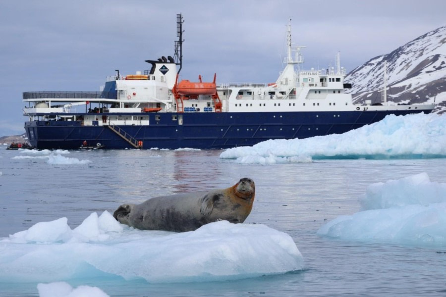 Texas Bar and Monacobreen, Liefdefjorden
