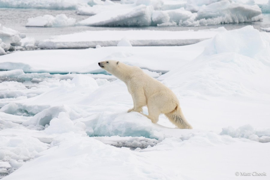 Drifting Pack Ice in Northern Svalbard