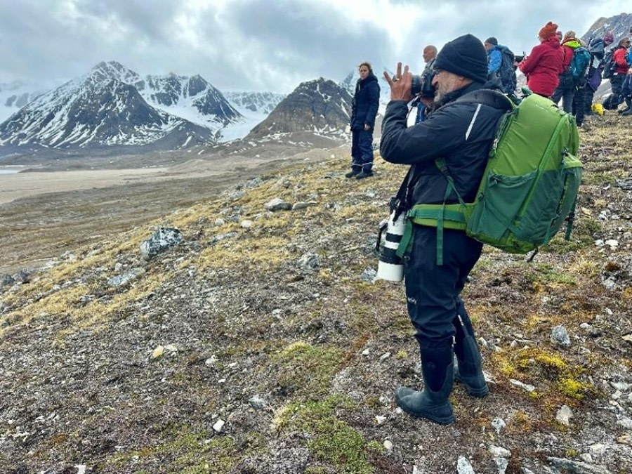 Tinayrebukta, Signehamna and Lilliehöökbreen