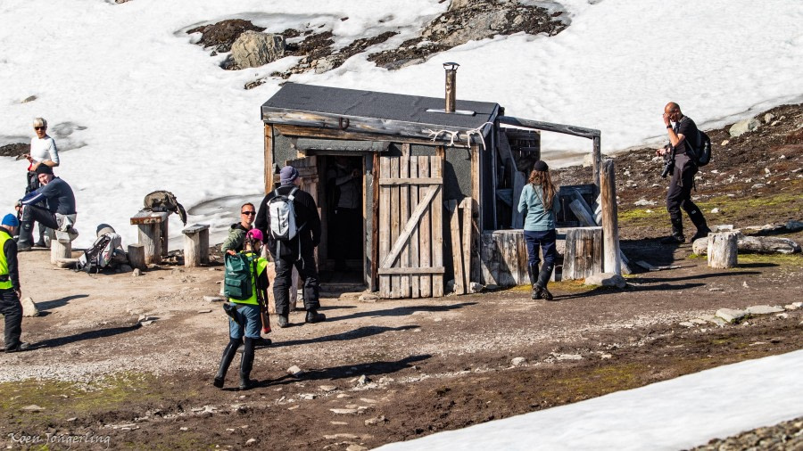 Texas Bar and Monacobreen