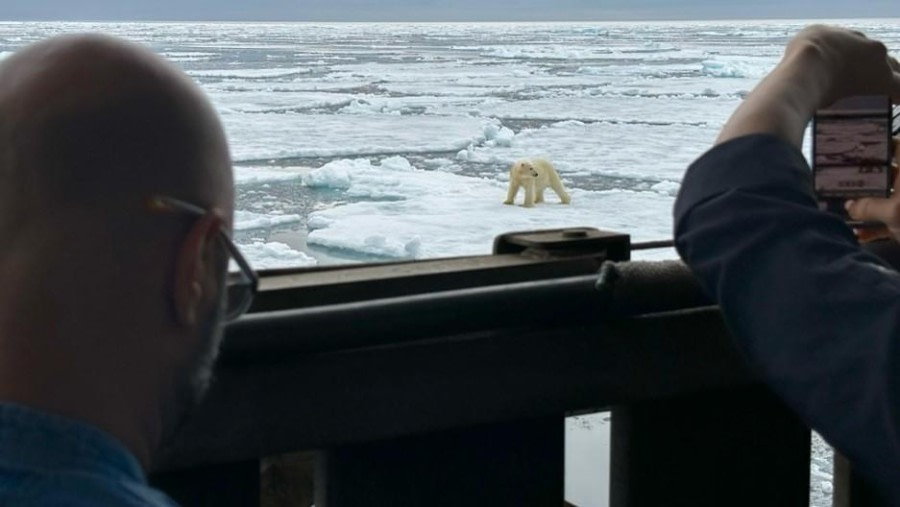 Pack Ice day, Looking for Polar Bears