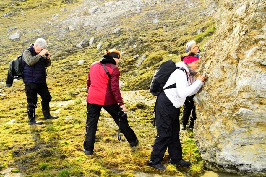 Faksevågen, Alkefjellet and Torellneset