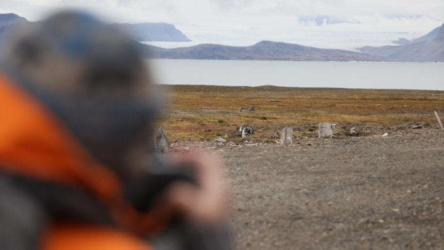 Kongsfjorden- Ny Ålesund & Ny London