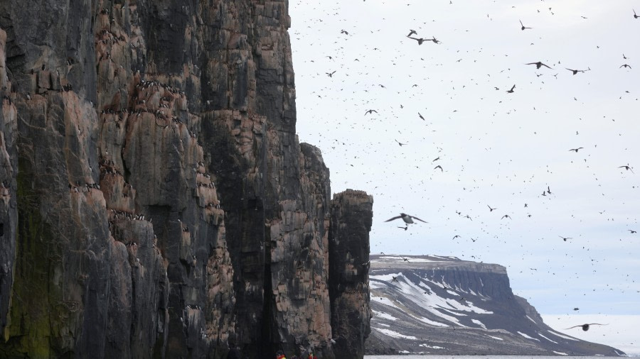 Alkefjellet and Torellneset