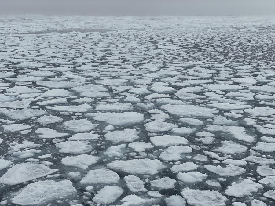 Into the Pack Ice