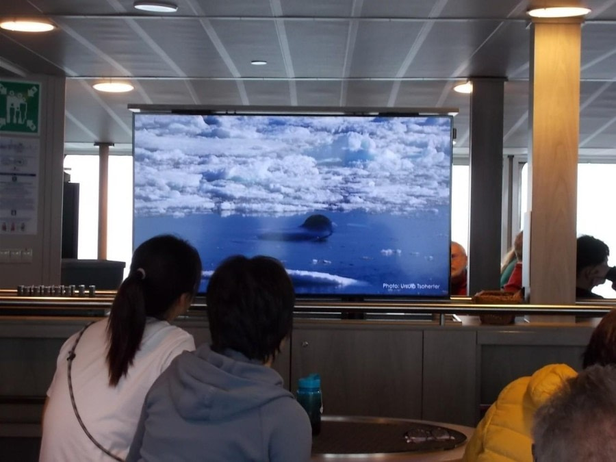 Day at sea towards Greenland