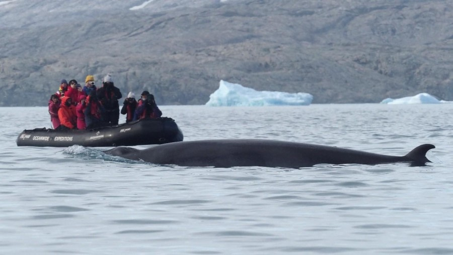 Nansen Bugt & Umiivik