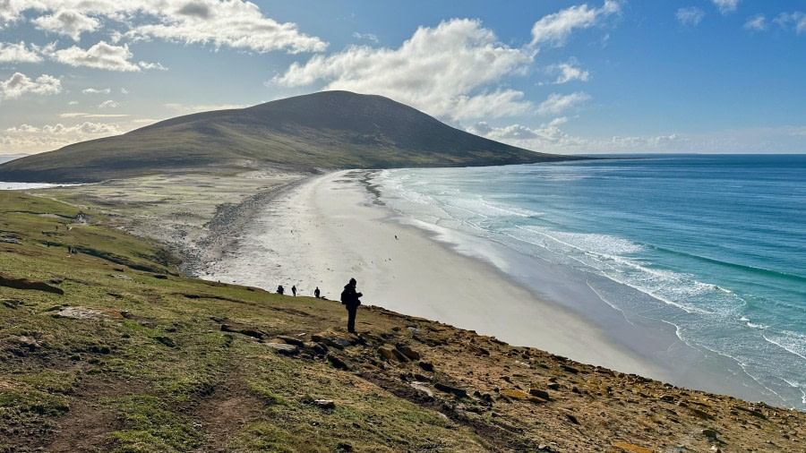 Carcass Island and Saunders Island
