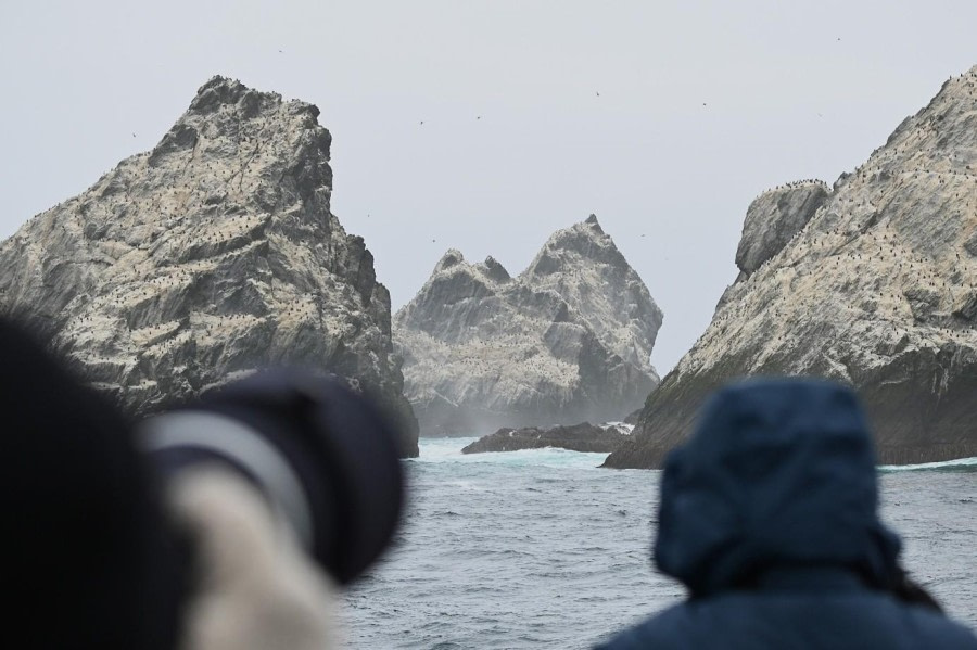 Sea Day and Shag Rocks