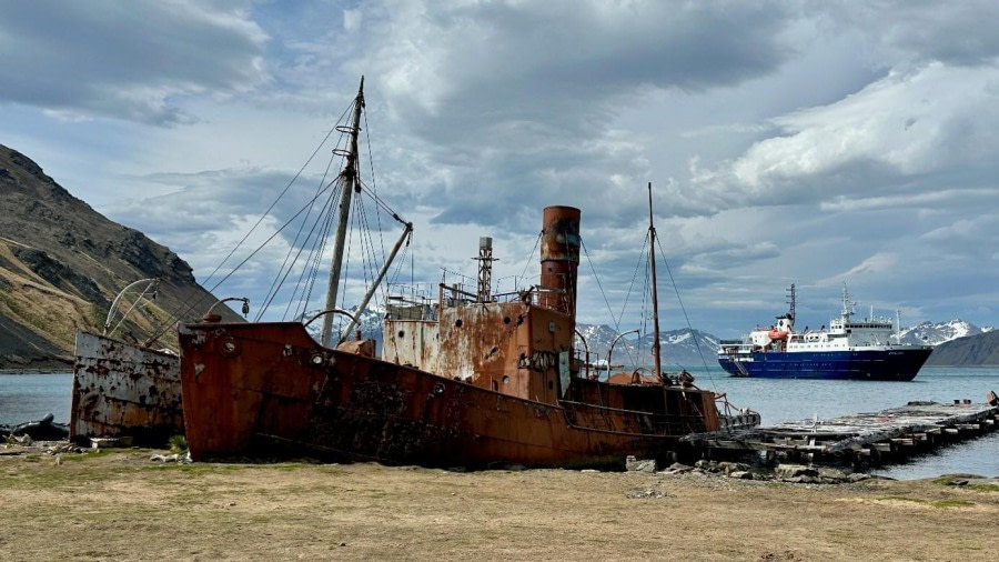 Grytviken and Jason Harbour