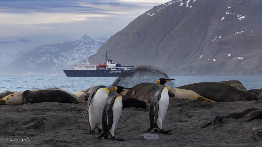 Gold Harbour and Cooper Bay