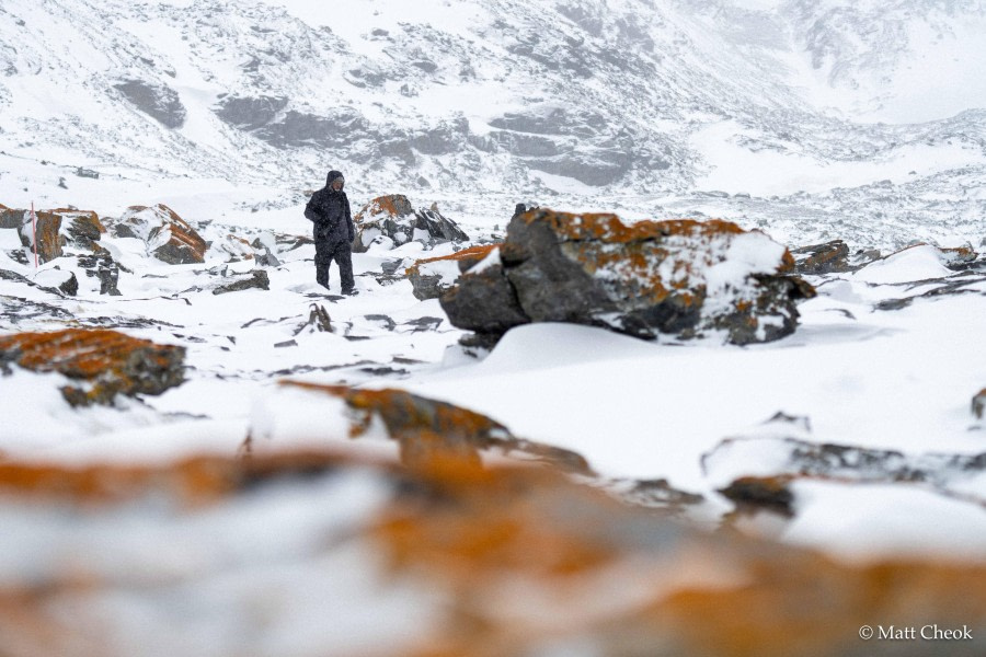 Shingle Cove, South Orkney Islands