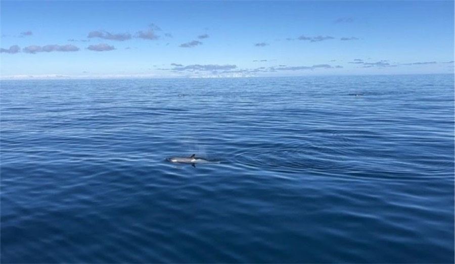 At Sea Towards, Deception Island, Whallers Bay