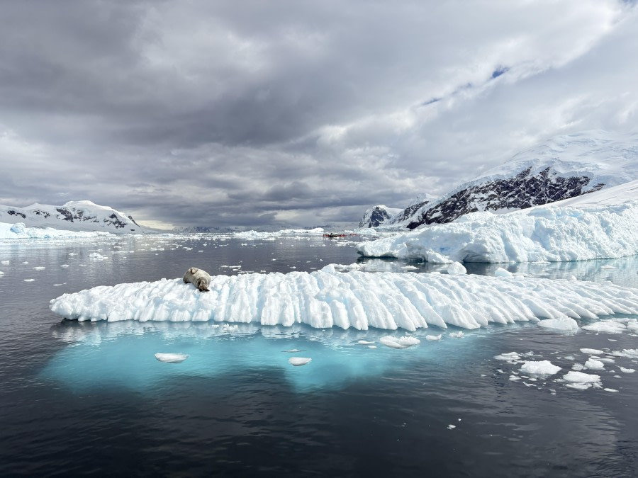 Antarctic Sculptures #3