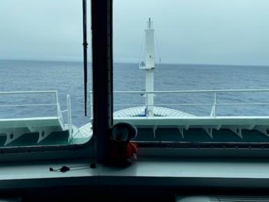 At Sea, Drake Passage, Returning to Ushuaia