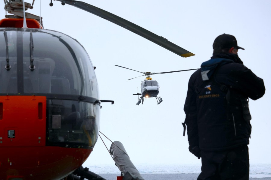 Sailing through the Antarctic Sound