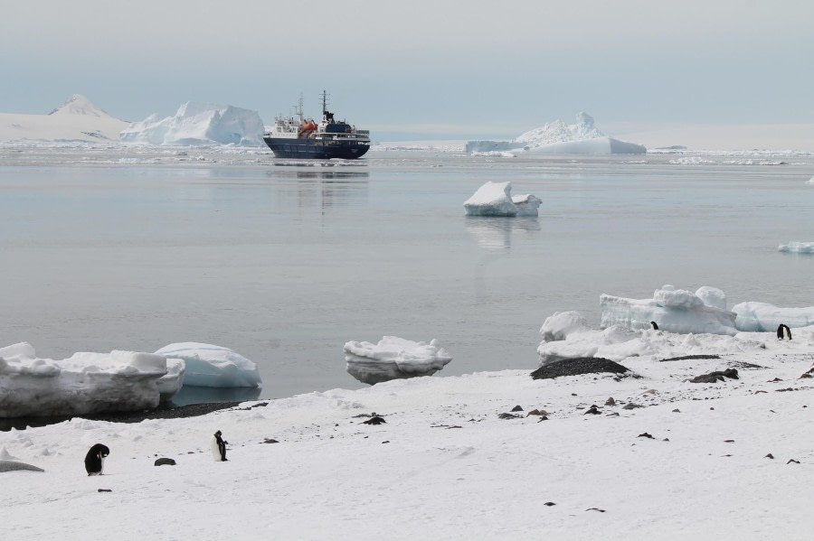 Antarctic Sound view from Brown Bluff