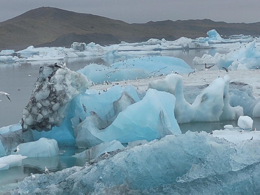 ☆ türkisfarbene Eisberge ☆