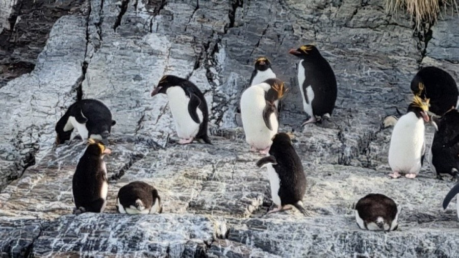 Fortuna Bay & Hercules Bay