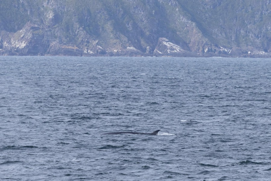 Ushuaia, Disembarkation Day