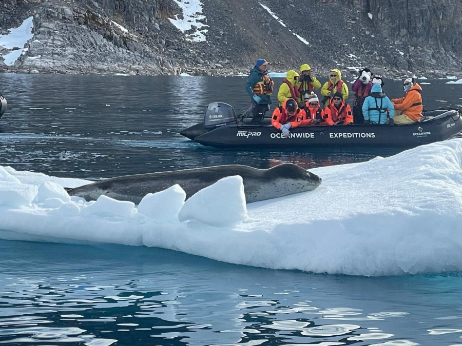 Portal Point & Punta Sucia