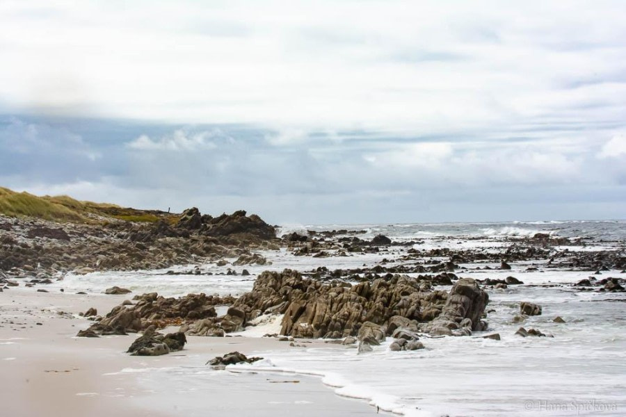 Falkland Islands, Stanley