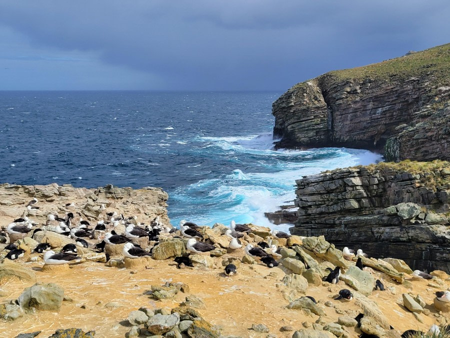 Nestled between the mountains and the sea at New Island