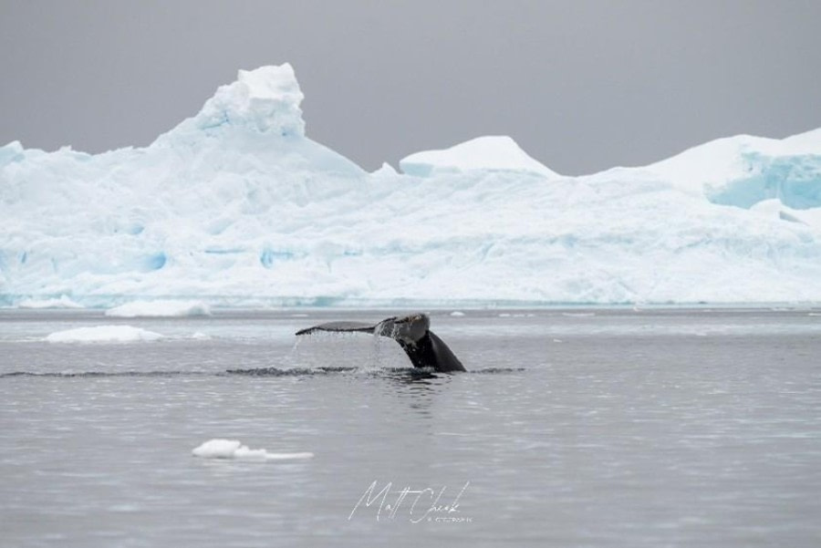 Myriad Islands and Pleaneau Island