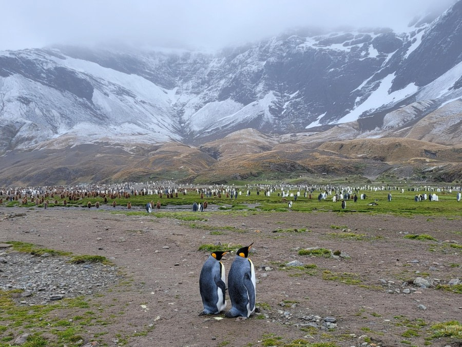 Try to believe in a monogamous marriage because no one teaches the penguins to do that.