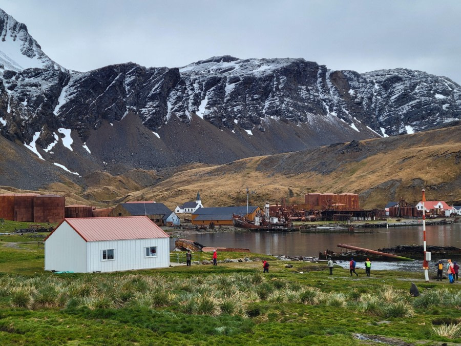 We don't own the planet earth, we belong to it. Don't hurt any whales anymore! @Grytviken