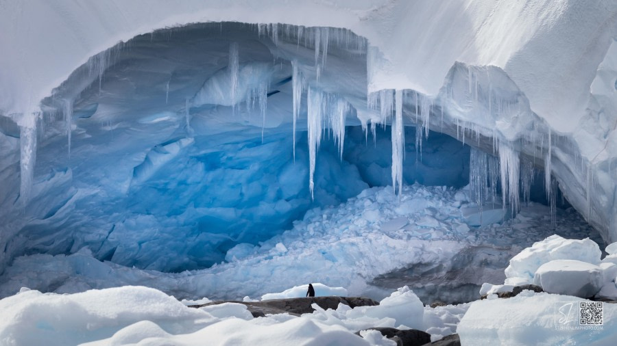 A penguin trapping the sky in ice