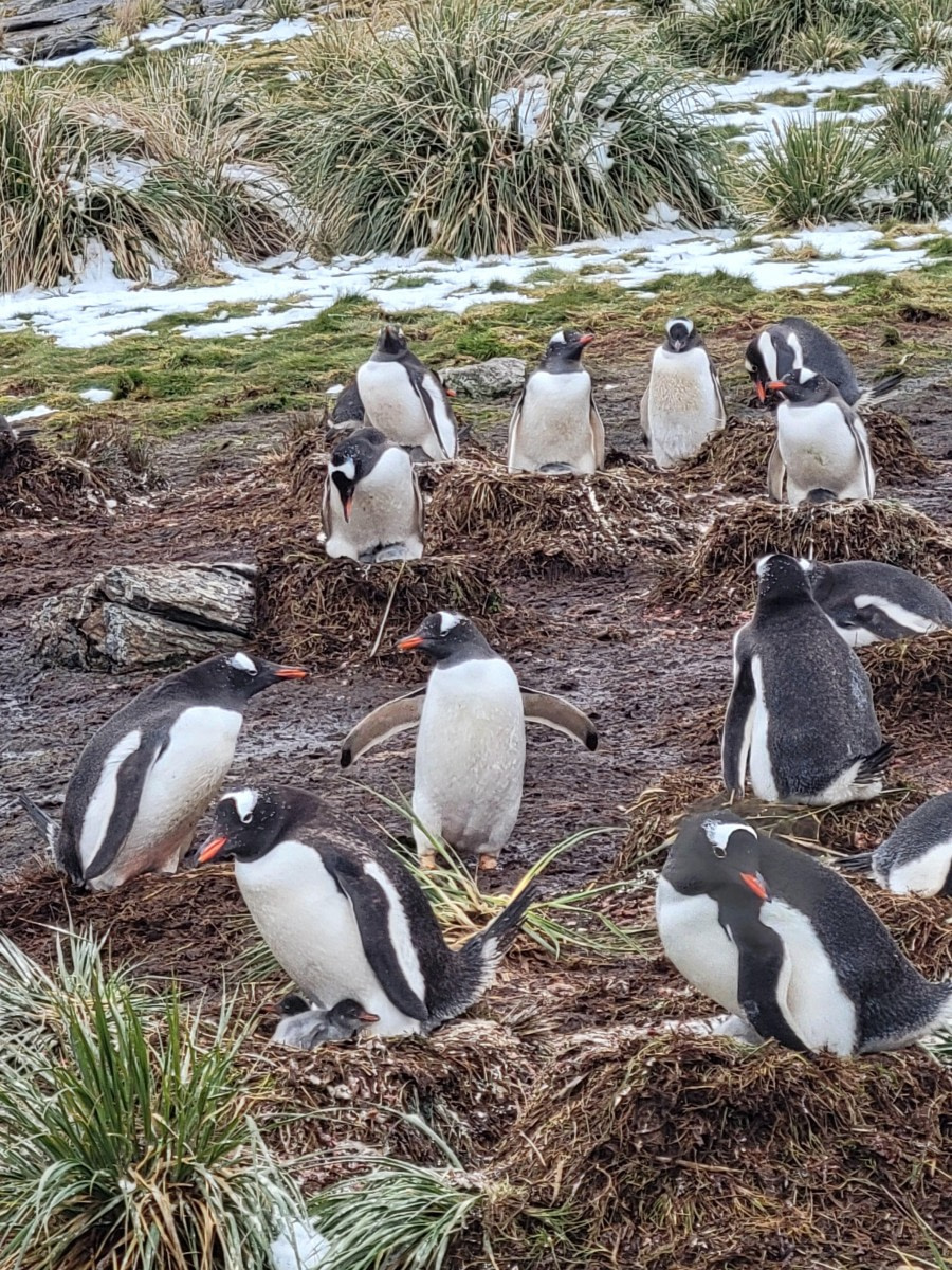 Overcrowded housing looms@ Godthul