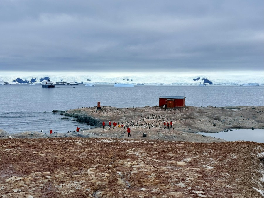 Spert Island and Mickelson Harbour