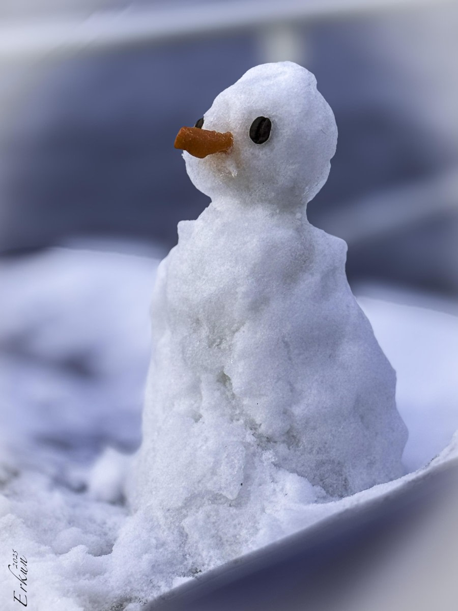 Day 15: Snowman Near the Brunt Iceshelf